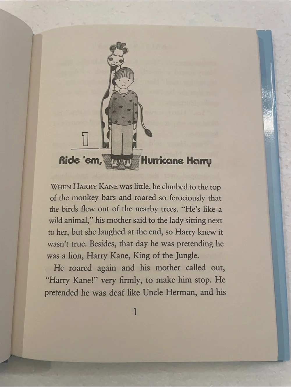 Vintage 1991 Hurricane Harry First Edition childrens AR Book HCDJ Judith Caseley